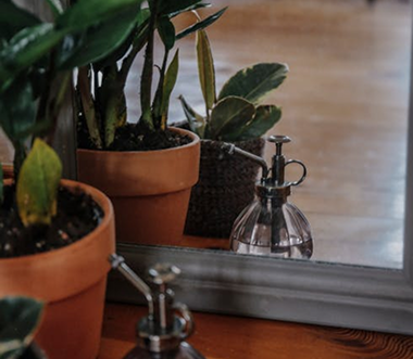 The Hidden Health Benefits of Houseplants: Why Your Space Needs More Greenery